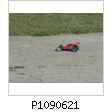 Dimensions: 800 x 600 P1090621.jpg